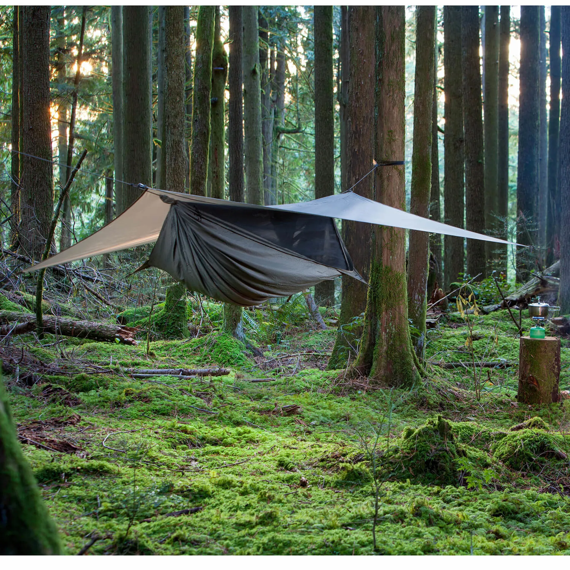 Quechua Boutique -Quechua Boutique Hennesy woods setup