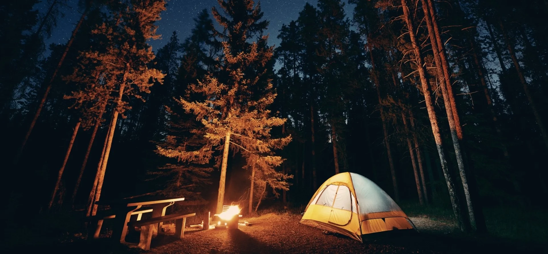 Quechua Boutique -Quechua Boutique getty 589455644 2000133420009280354 358587